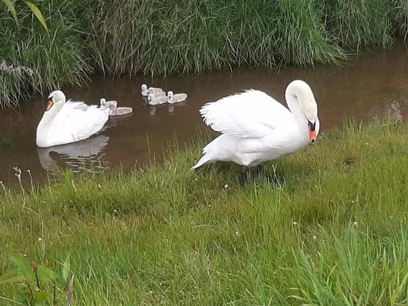 59A Selwyn Street, Pohara - Carousel 24