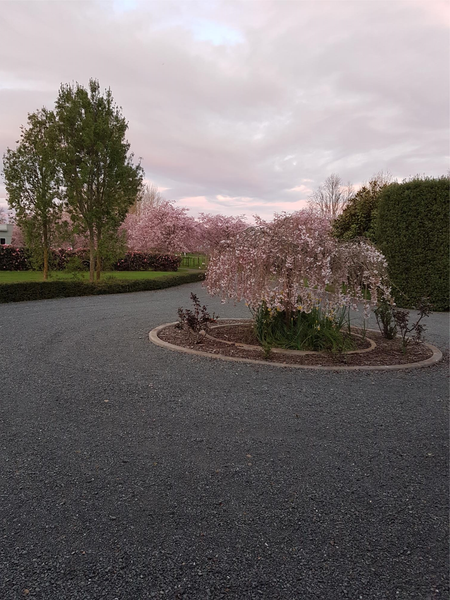 369B Marshmeadow Road, Newstead, Hamilton - Carousel 2