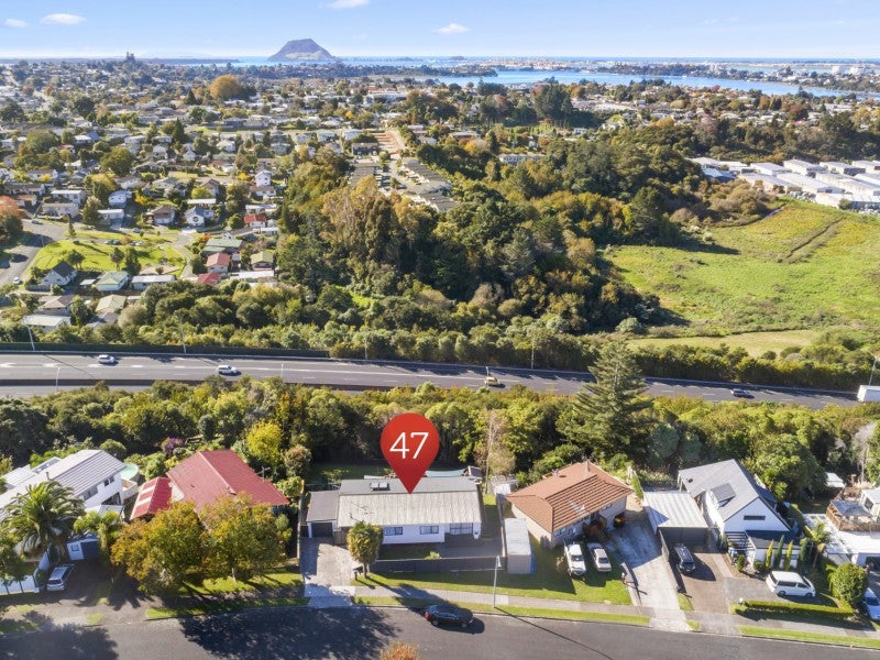 47 Winchester Terrace, Bethlehem, Tauranga - Carousel 20