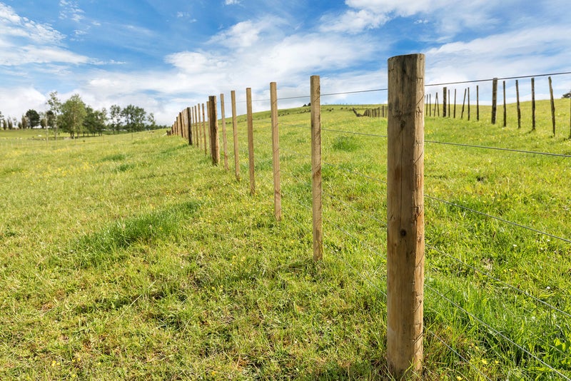 0 McBeth Road, Poroti, Whangarei - Carousel 14