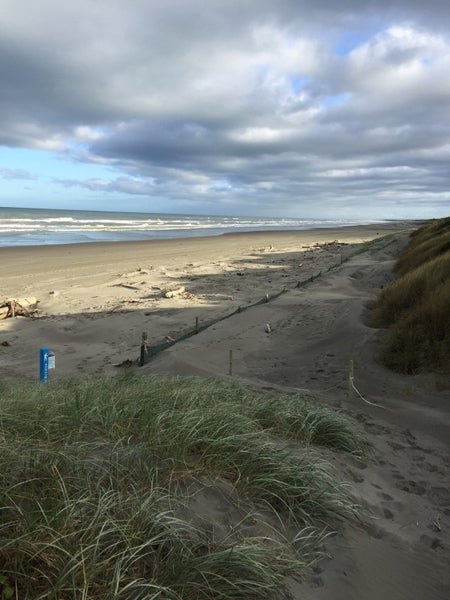 36 Muapoko Street, Himatangi Beach, Himatangi Beach - Carousel 20