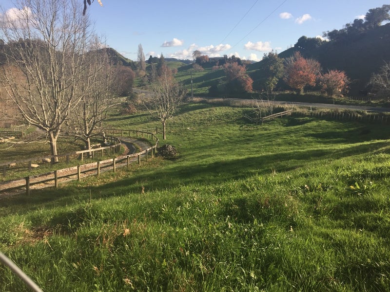 1007 State Highway 3, Te Kuiti - Carousel 15