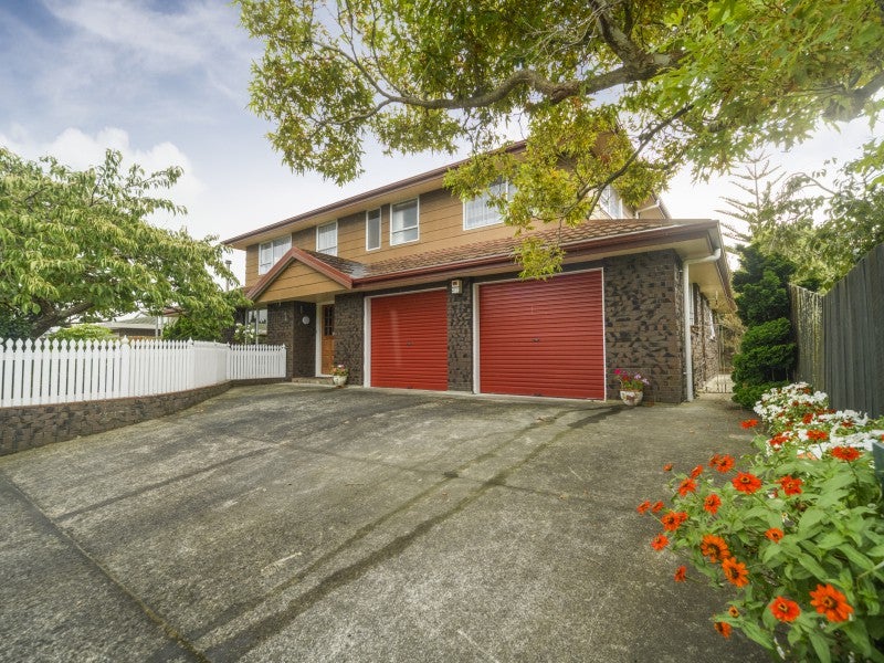 65 Fitzroy Street, Terrace End, Palmerston North - Carousel 1