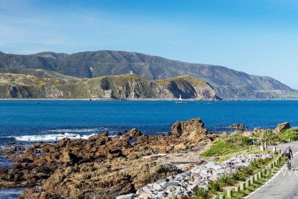 165 Breaker Bay Road, Breaker Bay, Wellington - Carousel 2