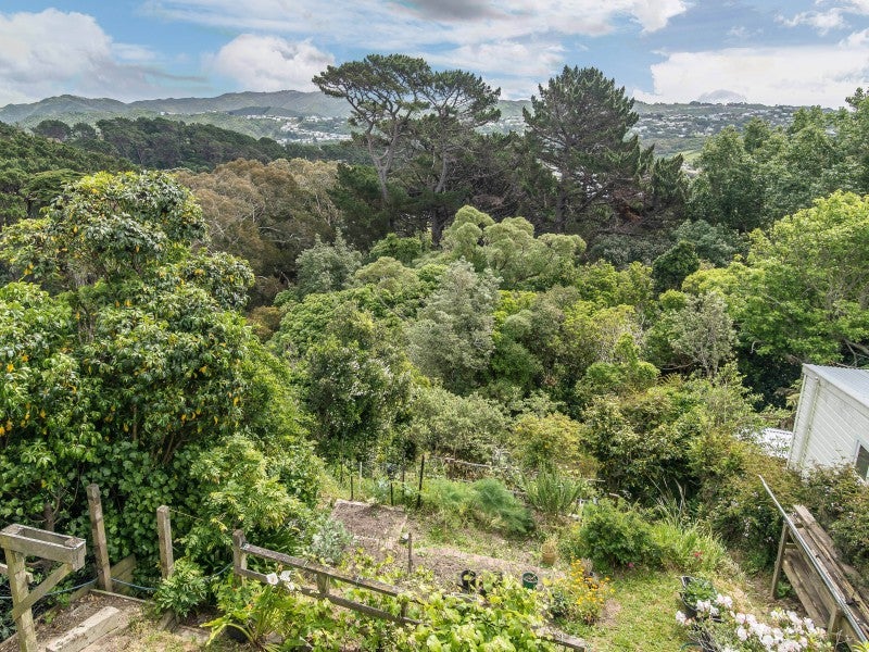 19 Antico Street, Melrose, Wellington - Carousel 2