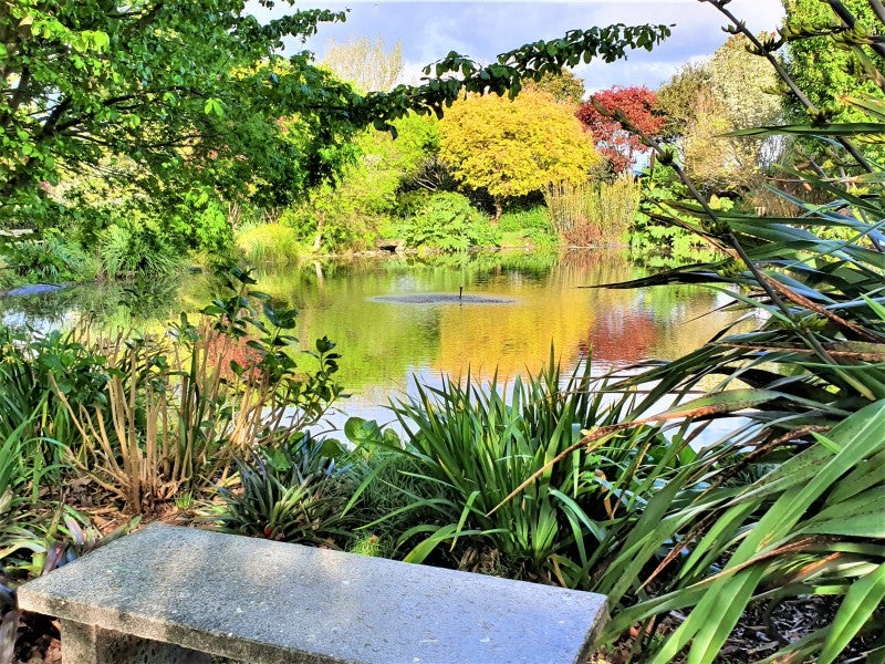 105A Mclean Road, Awakeri - Carousel 26