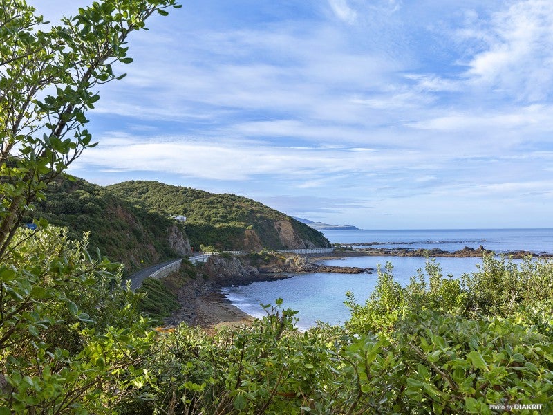 17 Cave Road, Houghton Bay, Wellington - Carousel 1