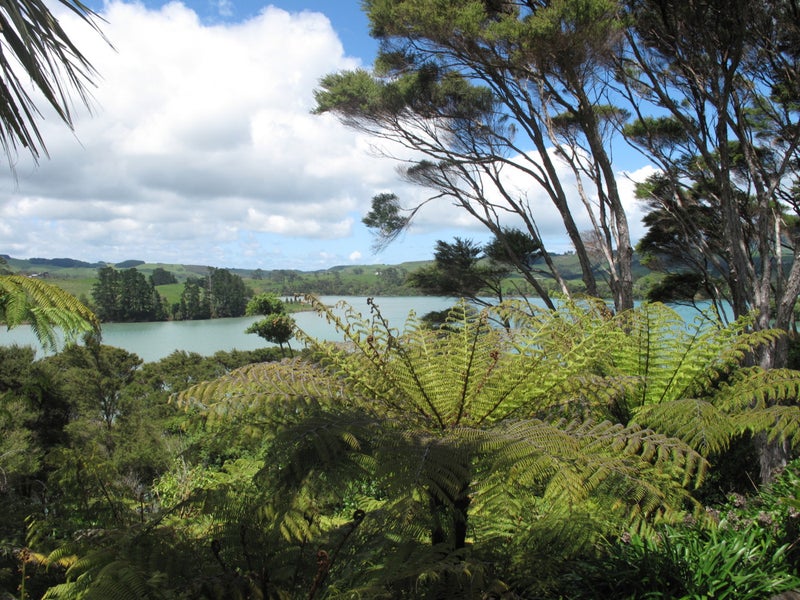 26 Kaitoke Street, Raglan, Raglan - Carousel 2