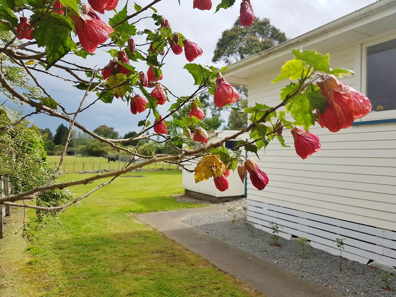 59 Owen Street, Waipawa - Carousel 2