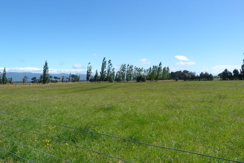 460 Wards Line, Morison Bush, Greytown - Carousel 17