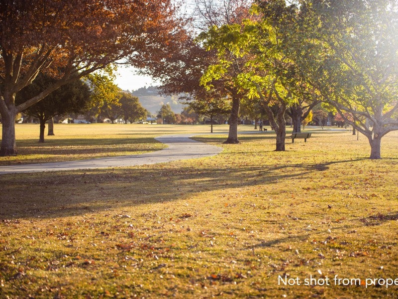 43 Robinson Crescent, Tamatea, Napier - Carousel 19