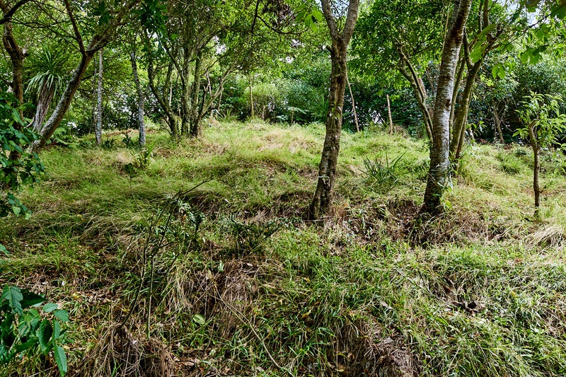 6E Reuben Avenue, Brooklyn, Wellington - Carousel 2