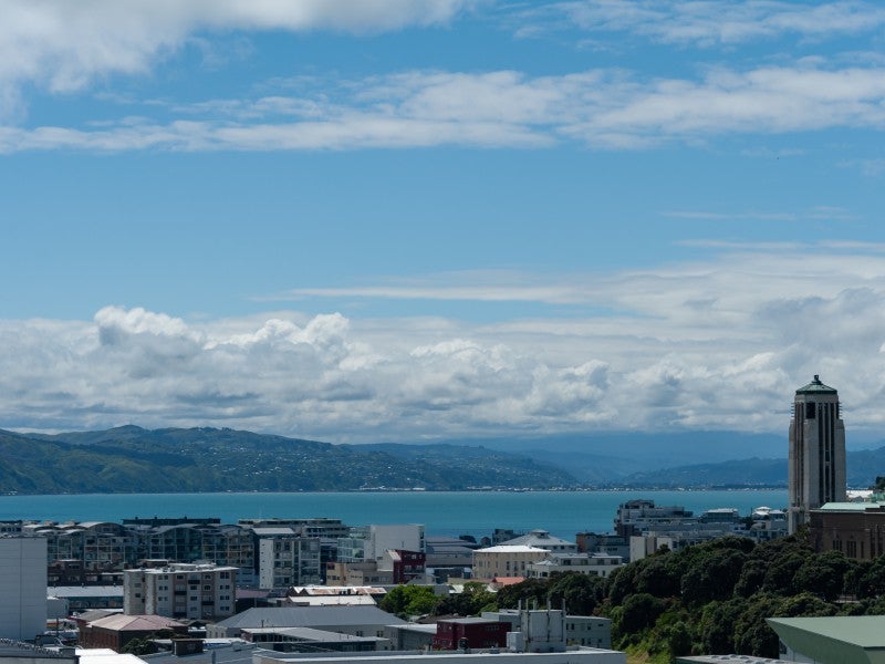 28M Bidwill Street, Mount Cook, Wellington - Carousel 2