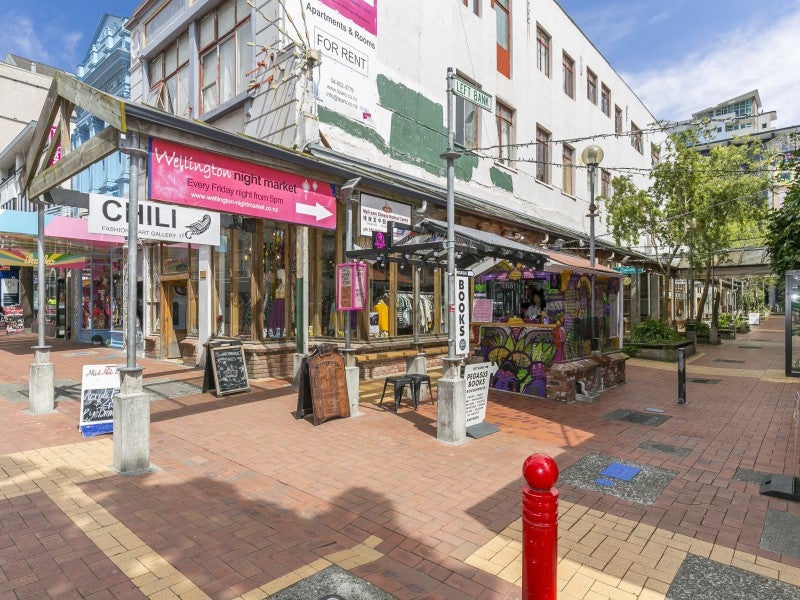 228/21 Left Bank, Te Aro, Wellington - Carousel 17