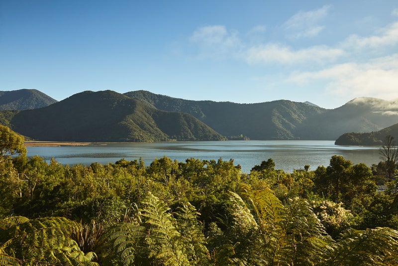 0 Main Rd, Havelock, Havelock - Carousel 2