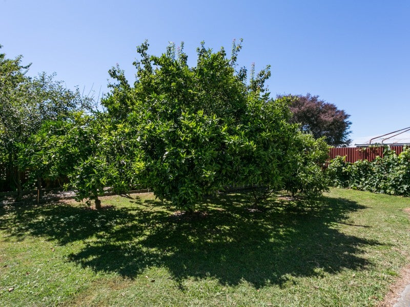 14 Lyttelton Crescent, Tamatea, Napier - Carousel 18