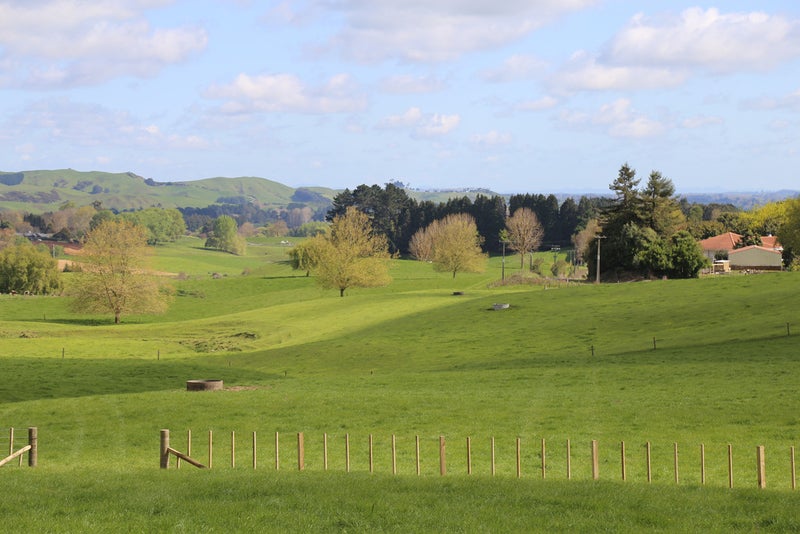 0 Taane Road, Maungatautari, Cambridge - Carousel 2