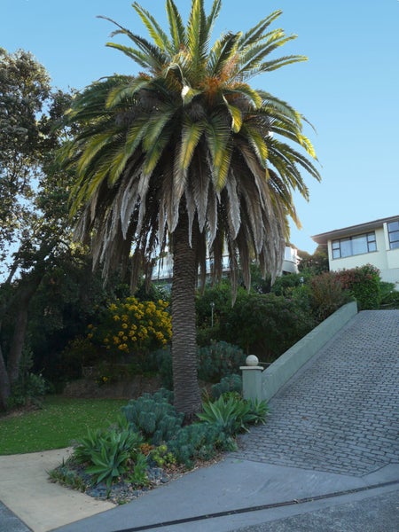 283 Devonport Road, Tauranga, Tauranga - Carousel 2