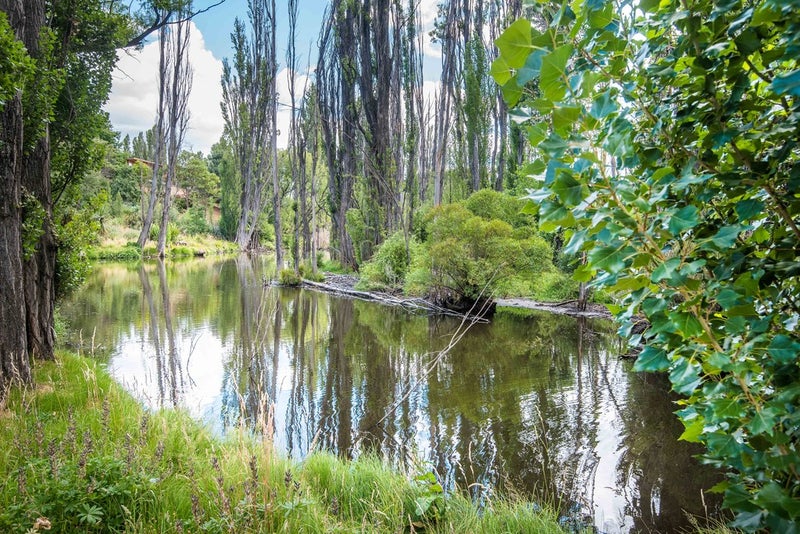 66 Lagoon Avenue, Albert Town, Wanaka - Carousel 16