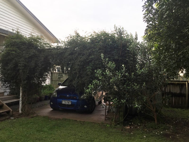 62B MacFarlane Street, Hamilton East, Hamilton - Carousel 11