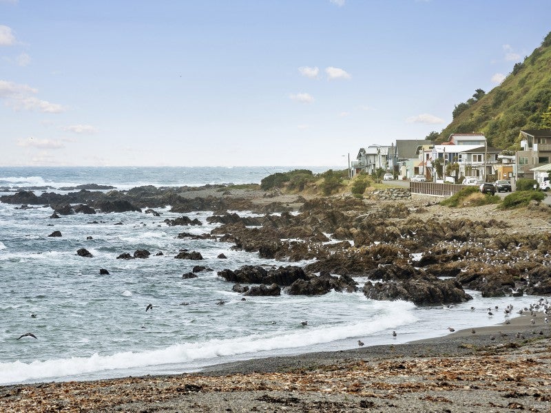 60A Owhiro Bay Parade, Owhiro Bay, Wellington - Carousel 1