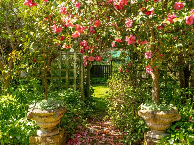 1 Homebush Road, Homebush, Masterton - Carousel 26