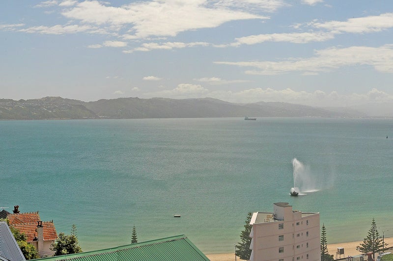 2 Moeller Street, Mount Victoria, Wellington - Carousel 22