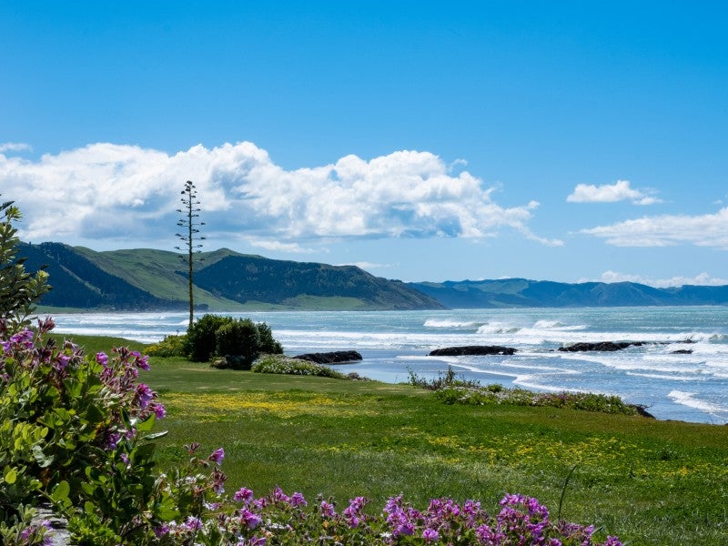 2/166 Harper Road, Waimarama - Carousel 2