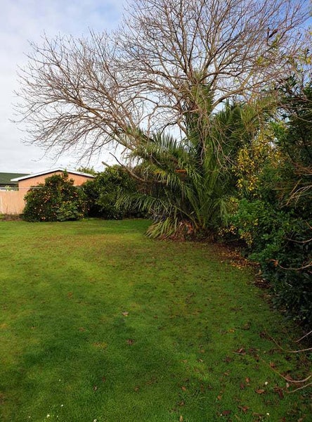 112A Ikanui Road, Frimley, Hastings - Carousel 12