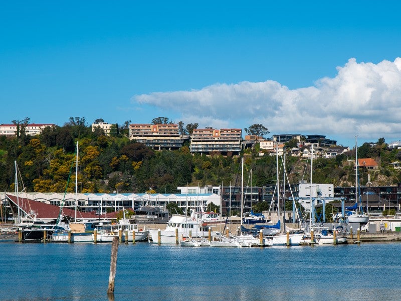 8/22 Hospital Terrace, Hospital Hill, Napier - Carousel 19