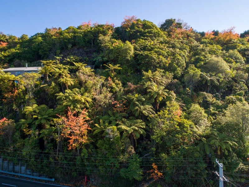 28 Spencer Road, Lake Tarawera, Rotorua - Carousel 11