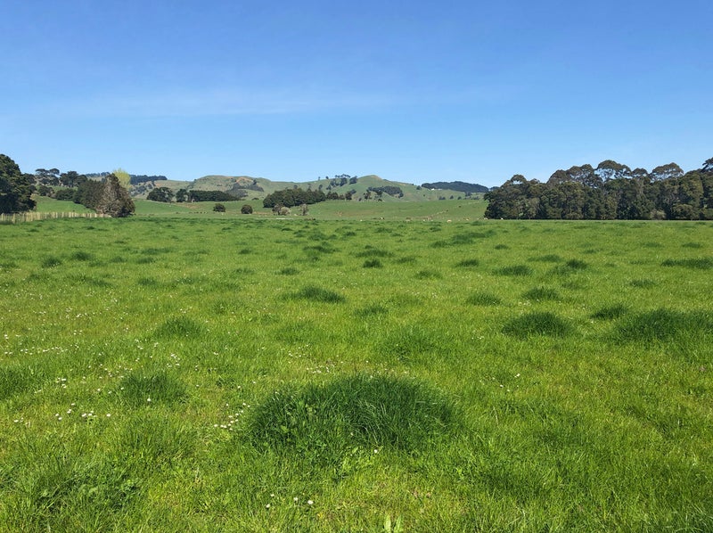 479 Old Kaipara Road, Kaipara Flats, Warkworth - Carousel 1