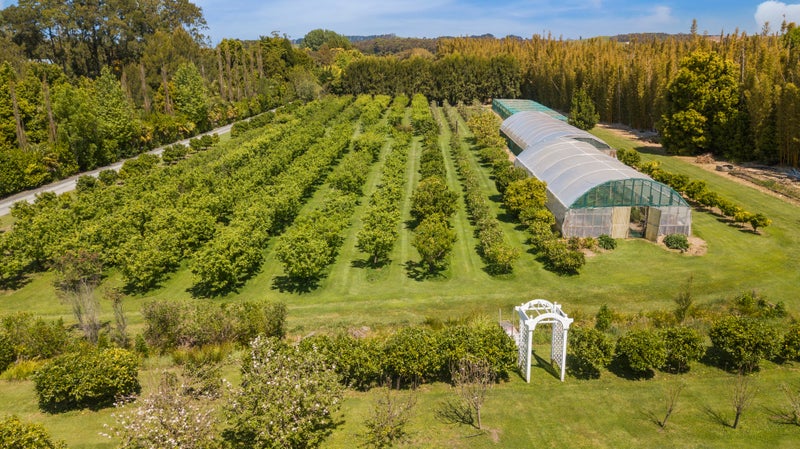 158 Omaha Flats Road, Warkworth - Carousel 20