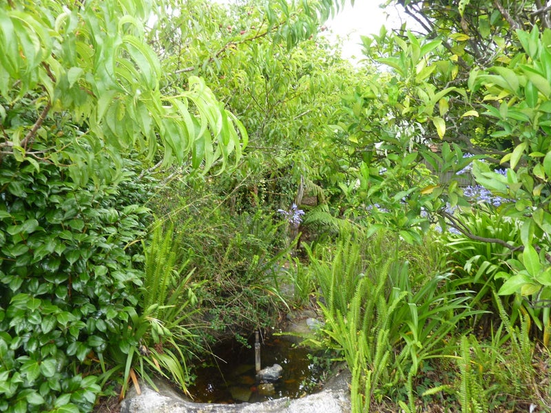 11 Hobson Street, Maeroa, Hamilton - Carousel 2