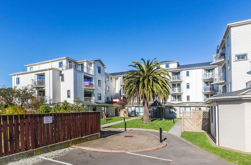 B7/13 Palm Grove, Berhampore, Wellington - Carousel 10