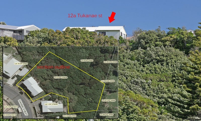 12 Tukanae Street, Strathmore Park, Wellington - Carousel 1