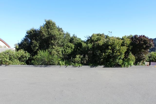 21 Imran Terrace, Khandallah, Wellington - Carousel 9