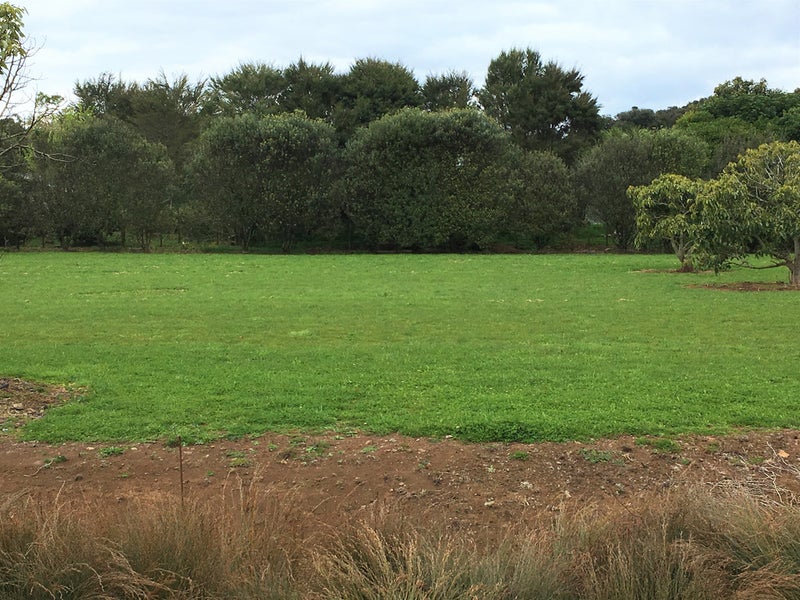 23 Corsair Drive, Whangarei - Carousel 2