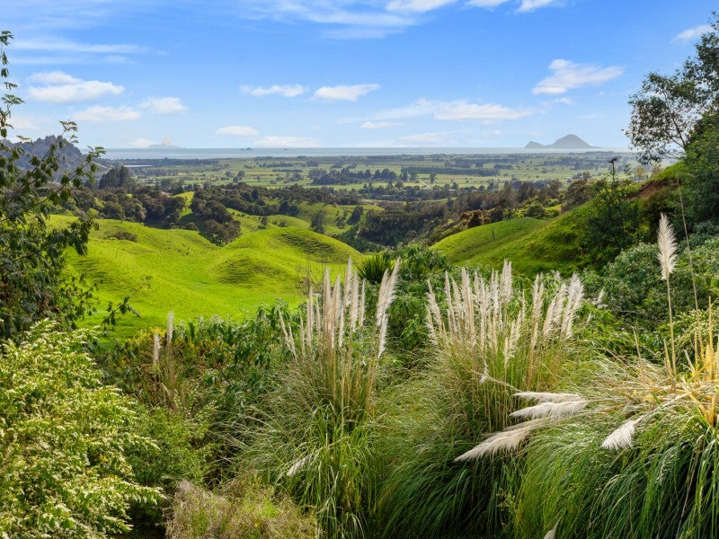 230C Withy RD, MANAWAHE, WHAKATANE - Carousel 1