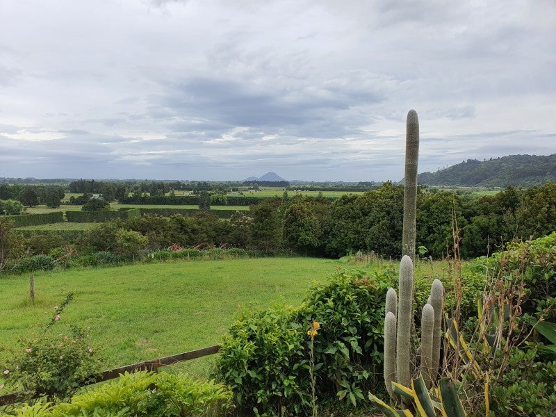 37A Wharenui Road, Poroporo, Whakatāne - Carousel 26