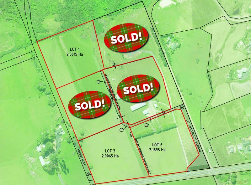 412A Outram-Mosgiel Road, Outram - Carousel 2