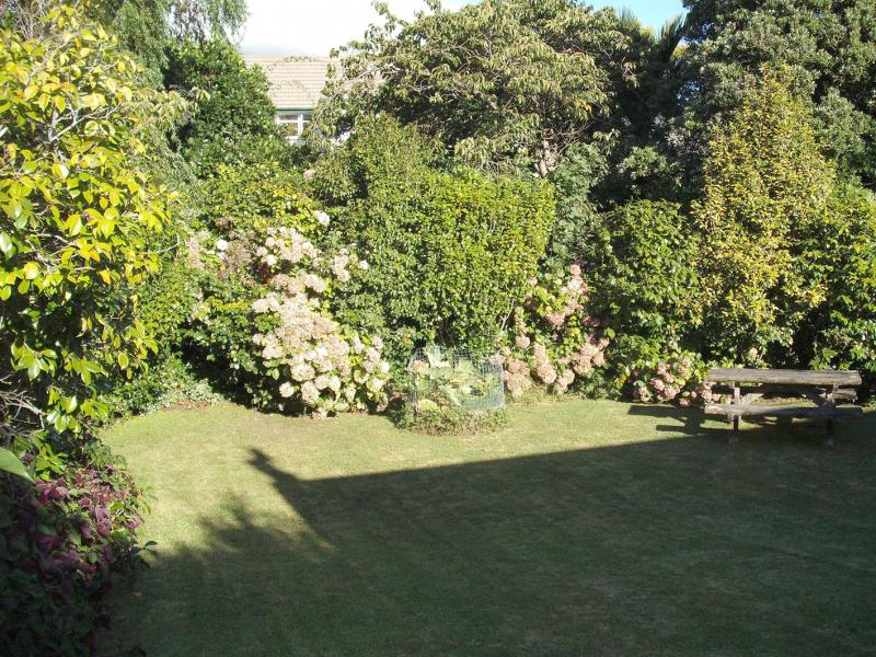 51A Laings Road, Hutt Central, Lower Hutt - Carousel 14