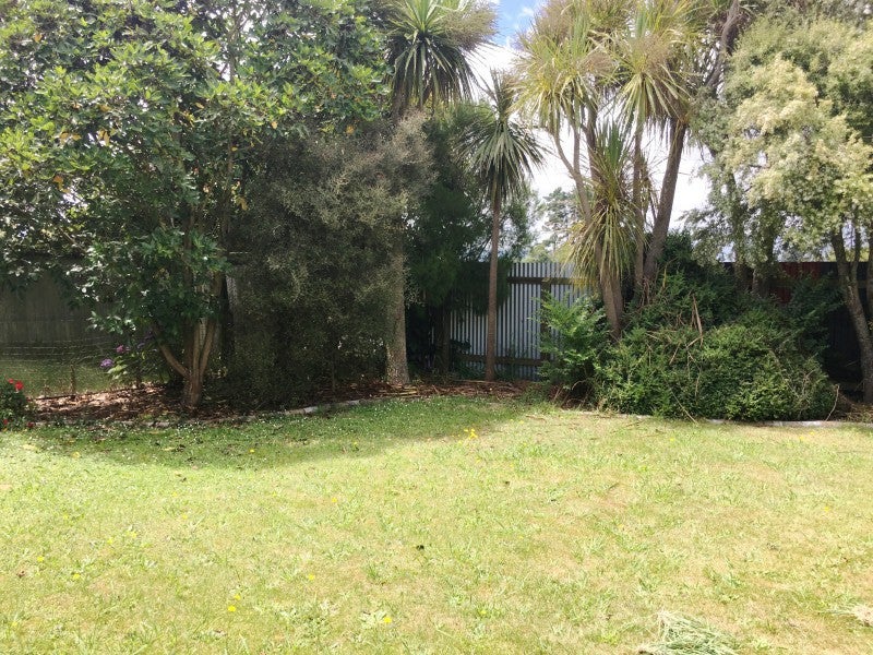 598 State Highway 1, Kuku, Levin - Carousel 13