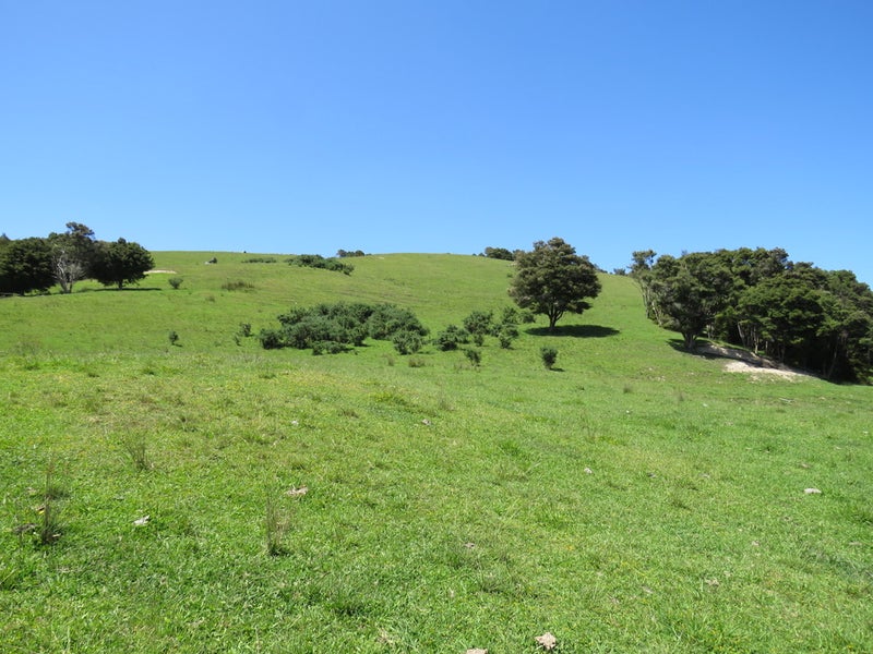 451 Lusk Road, Ruawai, Matakohe - Carousel 35