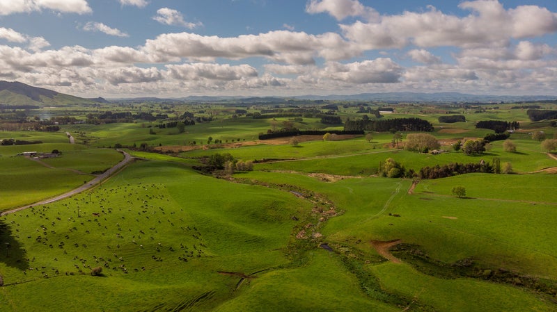 187 Ormsby Road, PIRONGIA, Pirongia - Carousel 26