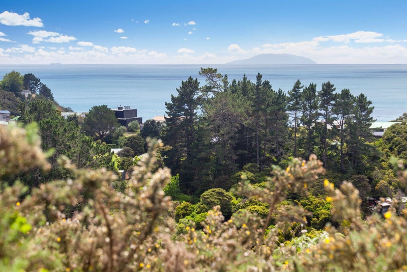 56 Trig Hill Road, Onetangi, Waiheke Island - Carousel 2