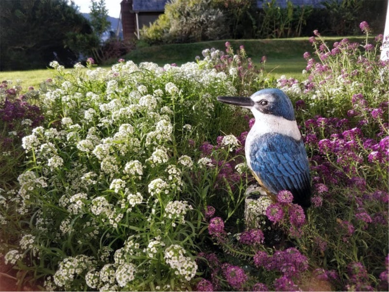 1C/145 Ohiro Road, Brooklyn, Wellington - Carousel 15