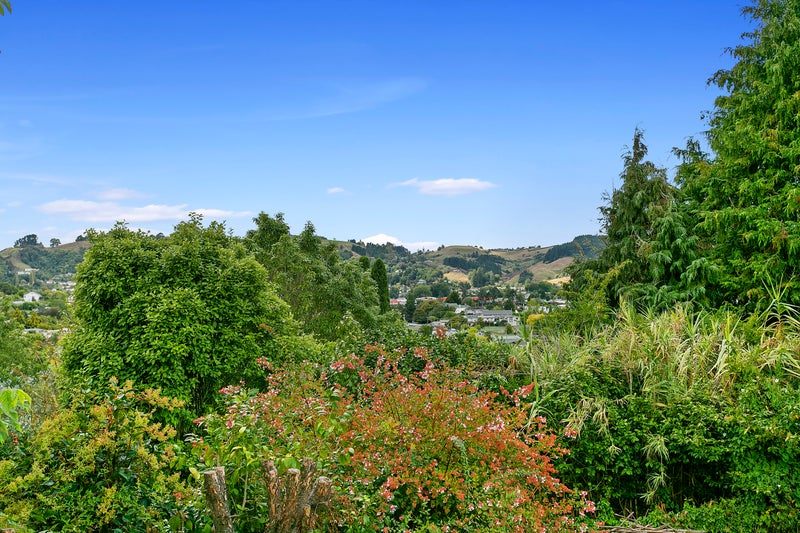 10 Henderson Street, Te Kuiti - Carousel 17