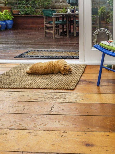 160 Onepu Road, Lyall Bay, Wellington - Carousel 23