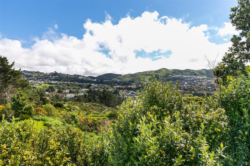 111 Mark Avenue, Grenada Village, Wellington - Carousel 12